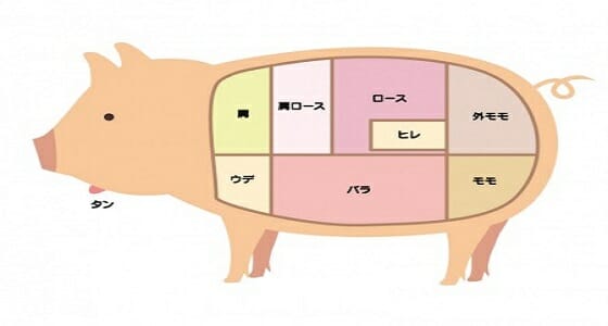 豚肉の部位と特徴 ロース、ヒレ、バラ、ももなど