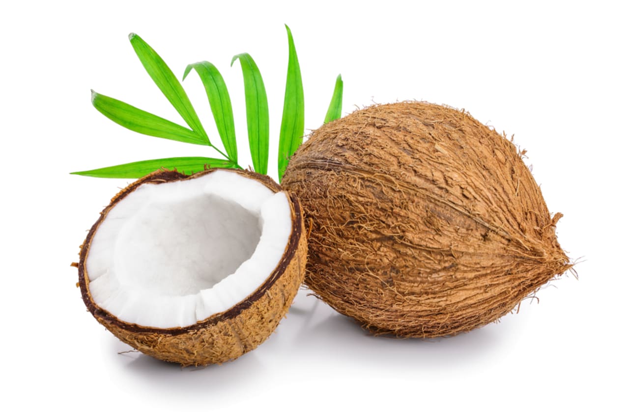 ココナッツ 値段 ココヤシ 古古椰子 相場や旬の情報まとめ