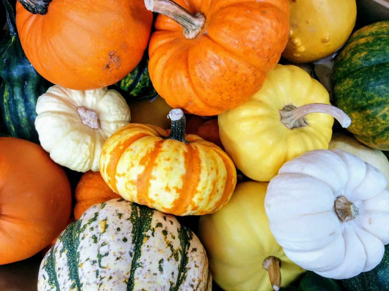かぼちゃ 値段 カボチャ 南瓜 1キロ平均186円 相場や旬の情報まとめ Kitchen Infosite