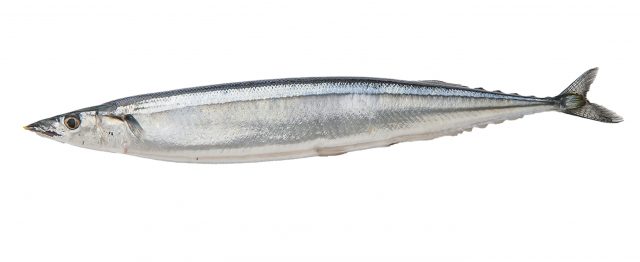 さんま 値段 サンマ 秋刀魚 1キロ平均1,024円 相場や旬の情報まとめ